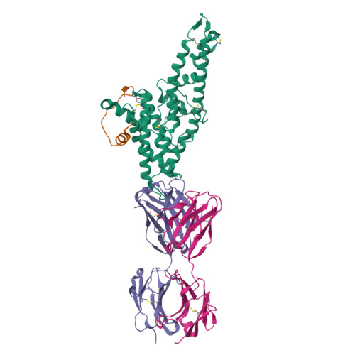 RCSB PDB - 8A44: Plasmodium vivax Duffy binding protein region II bound ...