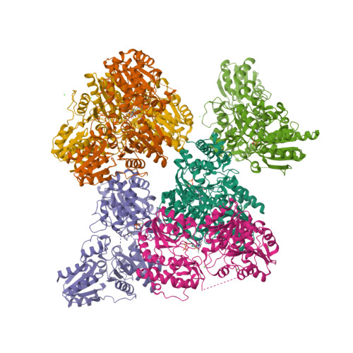 Rcsb Pdb 8a45 Structural Analysis Of 1 Deoxy D Xylulose 5 Phosphate Synthase From Pseudomonas 0354