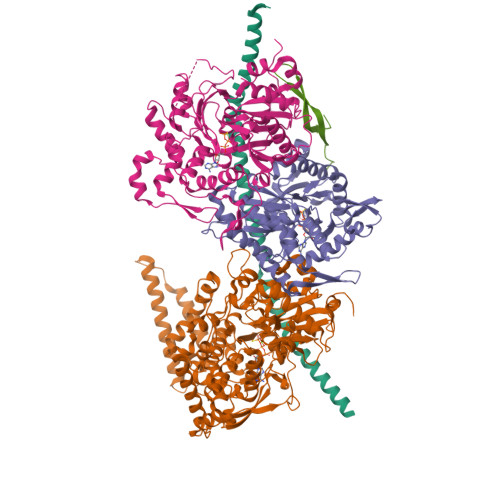 Ies4 RCSB PDB - 8A5O: Structure of Arp4-Ies4-N-actin-Arp8-Ino80HSA ...