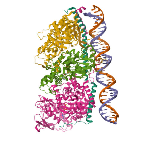Ies4 RCSB PDB - 8A5P: Structure of Arp4-Ies4-N-actin-Arp8-Ino80HSA ...