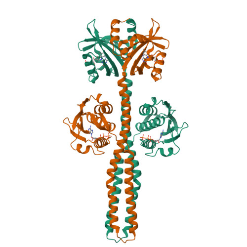RCSB PDB - 8A7F: Crystal structure of a chimeric LOV-Histidine kinase ...