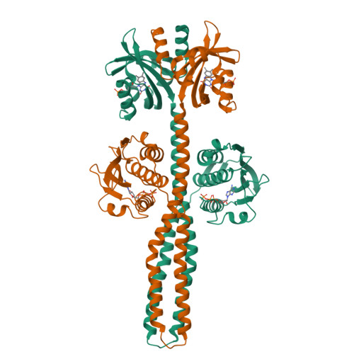 RCSB PDB - 8A7H: Crystal structure of a chimeric LOV-Histidine kinase ...