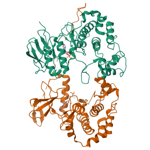 RCSB PDB - 8A8M: Structure of the MAPK p38alpha in complex with
