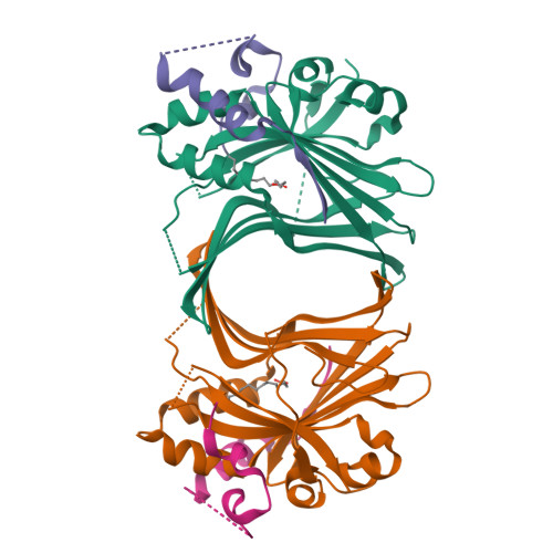 RCSB PDB - 8A8R: Crystal structure of TEAD4 in complex with YAP peptide