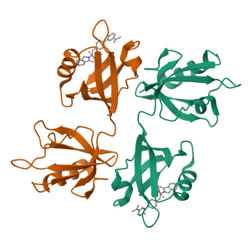 RCSB PDB - 8AAO: Crystal structure of the PDZ tandem of syntenin in ...