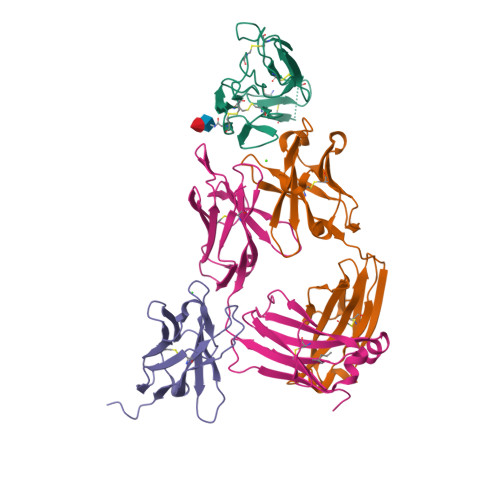 RCSB PDB - 8ACI: Structure of ARG-117 Fab in complex with a