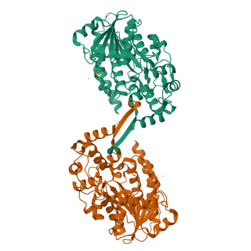 RCSB PDB - 8AEP: Reductase domain of the carboxylate reductase of ...