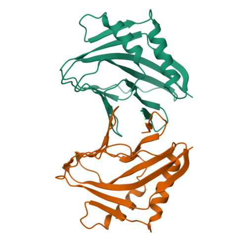 RCSB PDB - 8AG3: Vaccinia C16 N-terminal domains