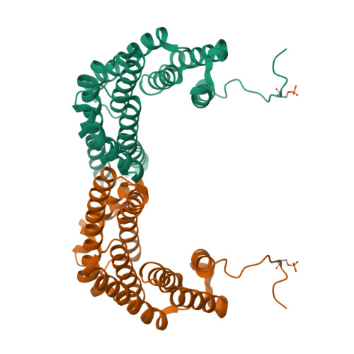 RCSB PDB - 8AH2: Crystal Structure Of Human 14-3-3 Zeta Fused To The ...