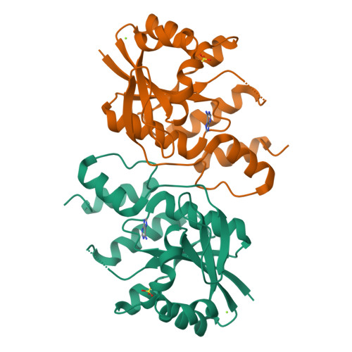 Rcsb Pdb Aii High Resolution Crystal Structure Of Enterococcus Faecium Nicotinate Nucleotide