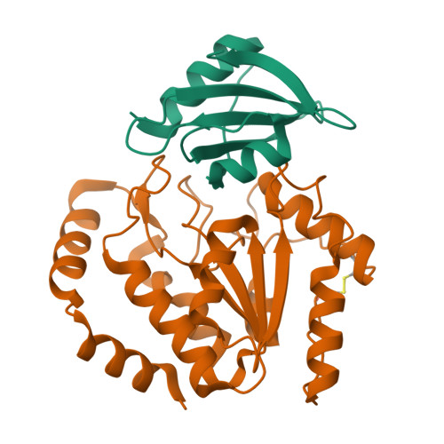 RCSB PDB - 8AIM: Ugi-2 SAUNG complex