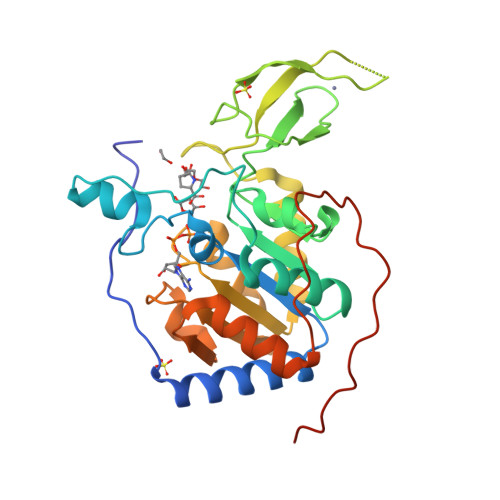 RCSB PDB - 8AK5: Human Sirt6 in complex with ADP-ribose and fragment ...