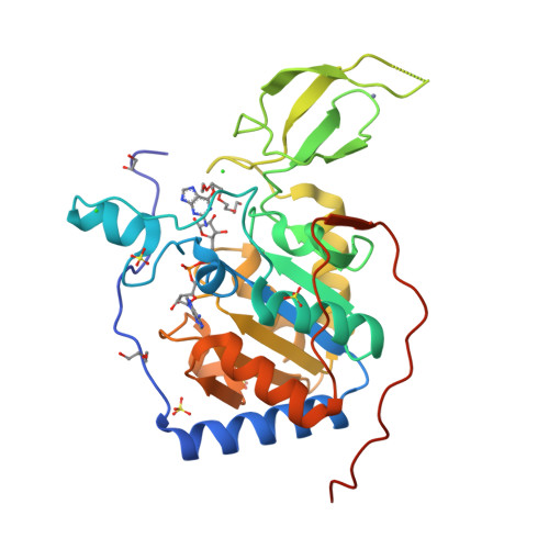 RCSB PDB - 8AK7: Human Sirt6 in complex with ADP-ribose and fragment 6 ...