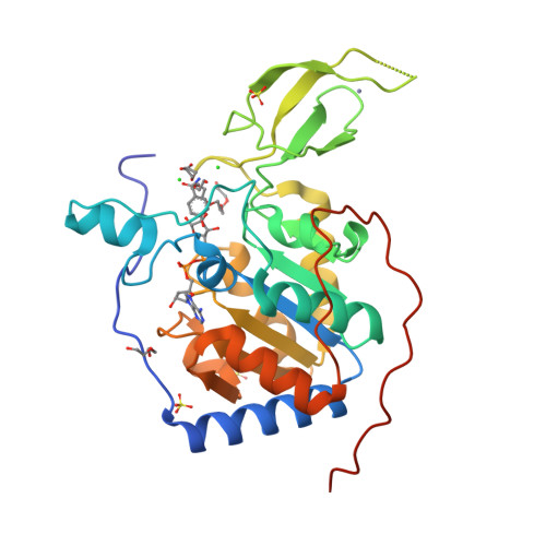 RCSB PDB - 8AK8: Human Sirt6 in complex with ADP-ribose and fragment 4 ...
