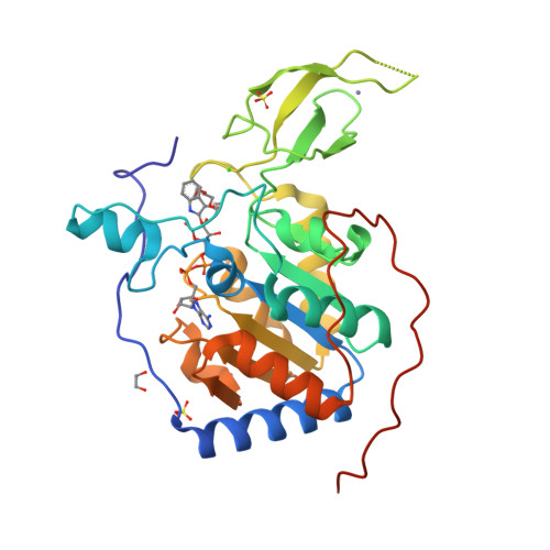 RCSB PDB - 8AK9: Human Sirt6 in complex with ADP-ribose and fragment Isatin