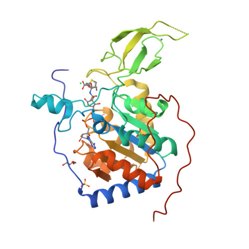RCSB PDB - 8AKC: Human Sirt6 in complex with ADP-ribose and fragment 3 ...