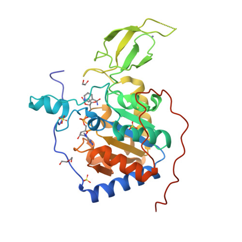 RCSB PDB - 8AKE: Human Sirt6 in complex with ADP-ribose and fragment ...