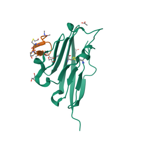 RCSB PDB - 8ALX: Structure of human PD-L1 in complex with inhibitor