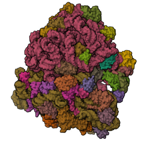 RCSB PDB - 8AM9: Cryo-EM structure of the proline-rich