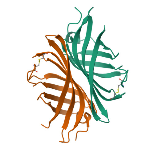 RCSB PDB - 8AMH: The Crystal structure of wt apo agroavidin