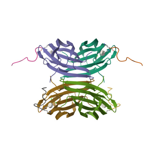 RCSB PDB - 8ANR: Fucosylated Alternate Chirality Linear Peptide FHP30 ...