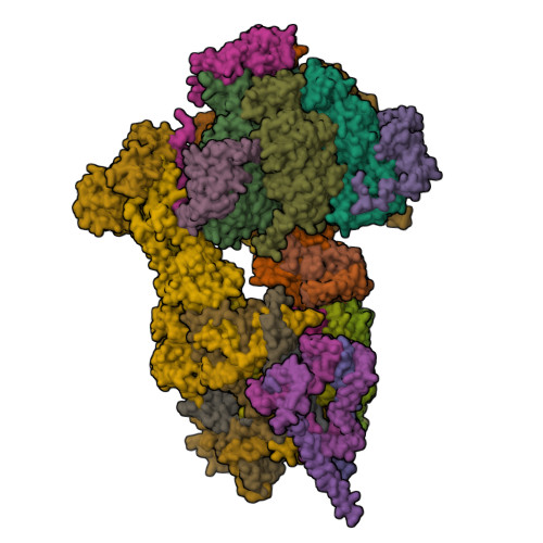 RCSB PDB - 8APC: rotational state 1c of the Trypanosoma brucei ...