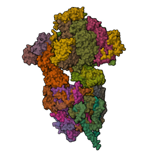 RCSB PDB - 8APD: rotational state 1d of the Trypanosoma brucei ...