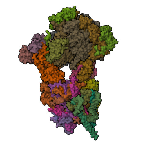 RCSB PDB - 8APG: rotational state 2b of the Trypanosoma brucei ...