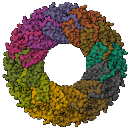 chikungunya structure