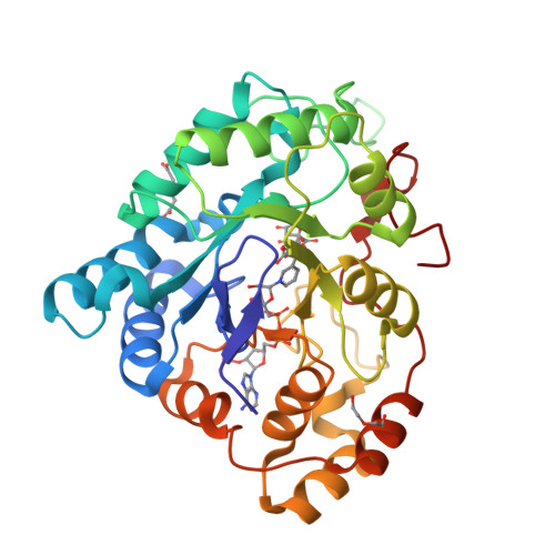 RCSB PDB - 8AQP: Structure of Human Aldose Reductase Mutant A299G/L300A ...