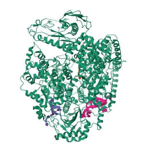 Rcsb Pdb Asg Structure Of The Sftsv L Protein Bound In A Resting