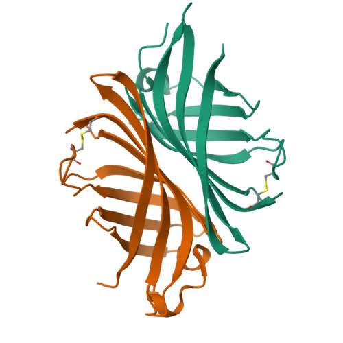 RCSB PDB - 8ASR: The Crystal structure of F46Y mutant of apo agroavidin
