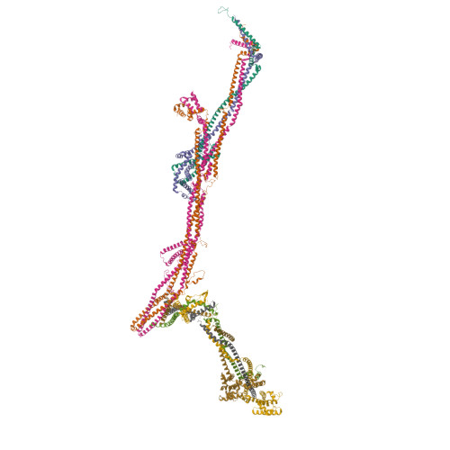 RCSB PDB - 8AT3: Structure of the augmin holocomplex in open conformation