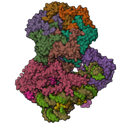 RCSB PDB - 8AV6: CryoEM structure of INO80 core nucleosome complex in ...
