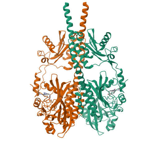 RCSB PDB - 8AVX: Cryo-EM Structure Of DrBphP In Pfr State