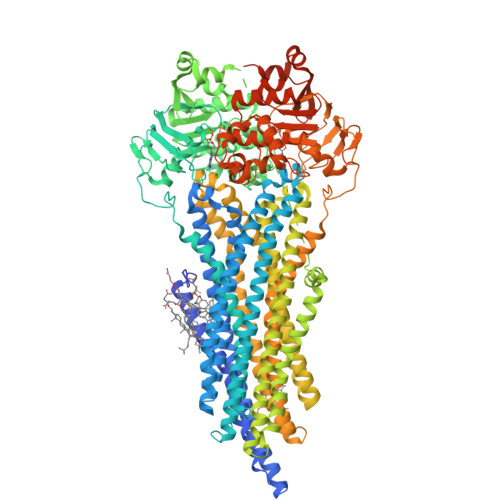 RCSB PDB - 8AVY: The ABCB1 L335C mutant (mABCB1) in the Apo state