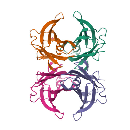 RCSB PDB - 8AWI: Crystal structure of Human Transthyretin at 1.15 ...