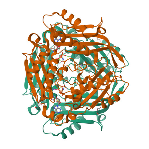 RCSB PDB 8AXZ Crystal Structure Of Human Methionine