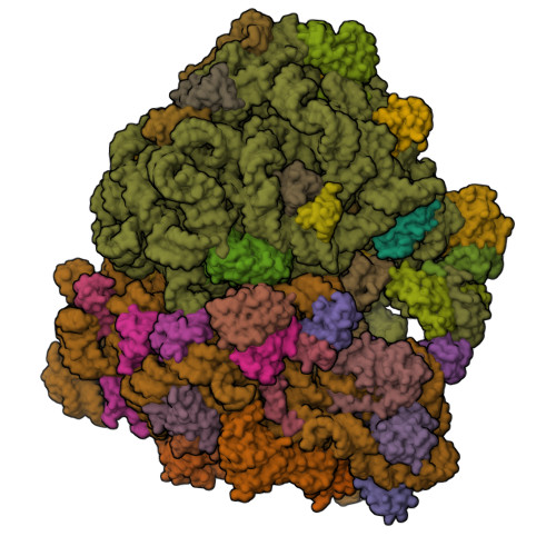 RCSB PDB - 8AYE: E. Coli 70S Ribosome Bound To Thermorubin And FMet-tRNA