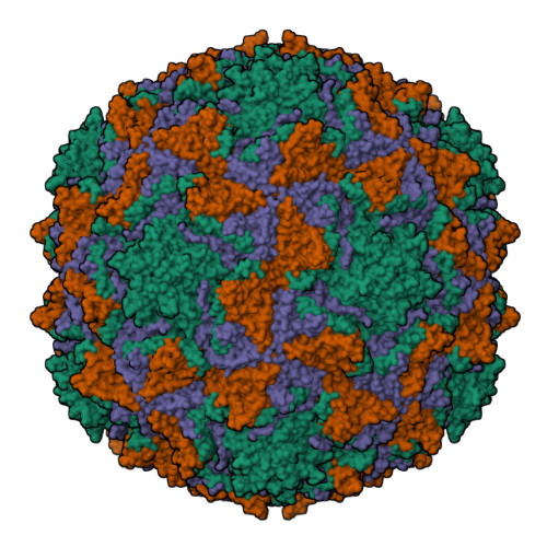 RCSB PDB - 8AYX: Poliovirus type 3 (strain Saukett) stabilised virus ...