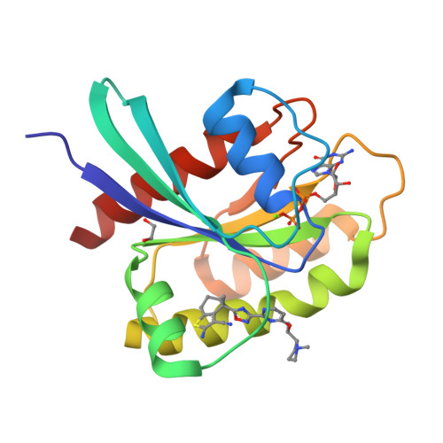 Rcsb Pdb - 8azv: Kras In Complex With Bi-2865