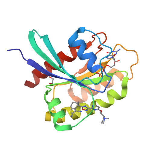 RCSB PDB - 8AZZ: KRAS-G12V in complex with BI-2865