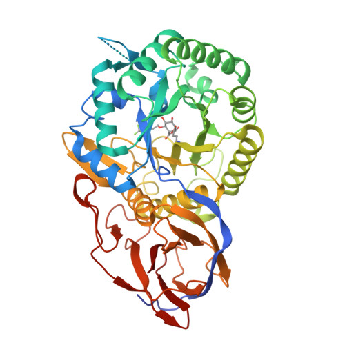 RCSB PDB - 8B0E: Crystal Structure Of Beta-glucuronidase From ...