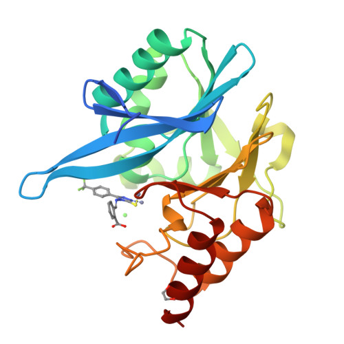 RCSB PDB 8B20 NDM 1 Metallo Beta Lactamase In Complex With Triazole   8b20 Assembly 1 