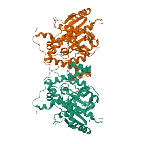 RCSB PDB - 8B28: Structure Of An Intron-retention Variant Of The Plant ...