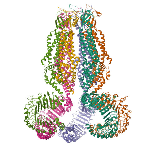 RCSB PDB - 8B42: Structure of heteromeric LRRC8A/C Volume-Regulated ...