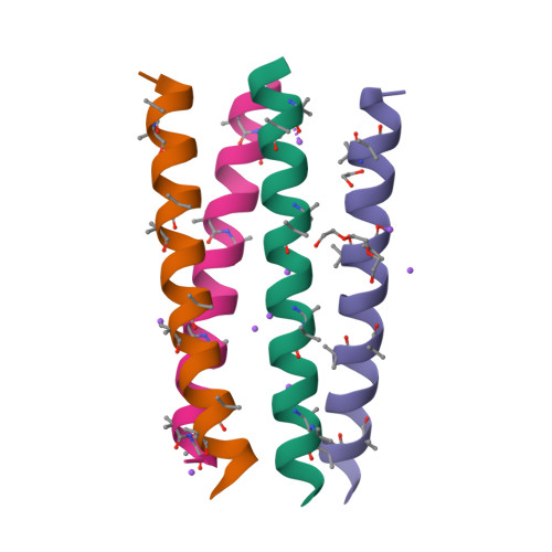 RCSB PDB - 8B45: Structure Of CC-Tri With Aib@b,c: CC-Tri-(UbUc)4