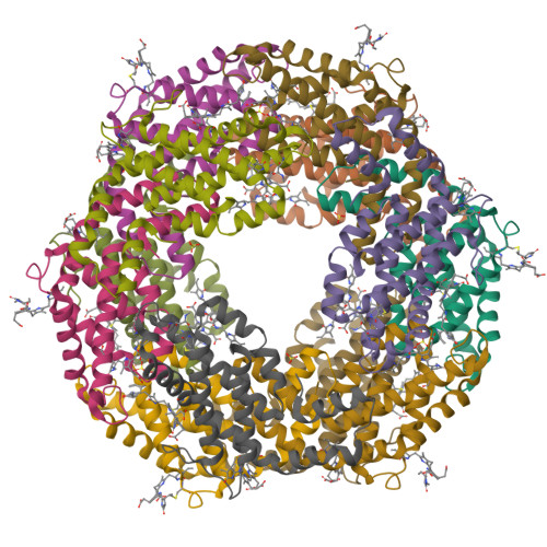 RCSB PDB - 8B4N: X-ray Structure Of Phycoerythrin From Porphyridium ...