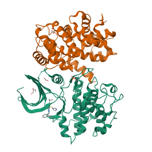 RCSB PDB - 8B54: CDK2/cyclin A2 In Complex With Pyrazolo[4,3-d ...