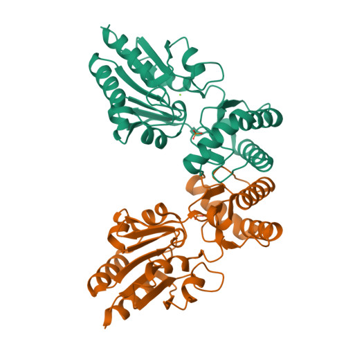 RCSB PDB - 8B5V: Crystal Structure of Trypanosoma Cruzi ...